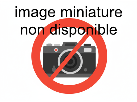 Rparation d'iPhone  domicile